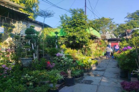Pasar Bunga Bratang Terkini: Tak Hanya Tempat Jual Beli Tapi Ruang Interaksi
