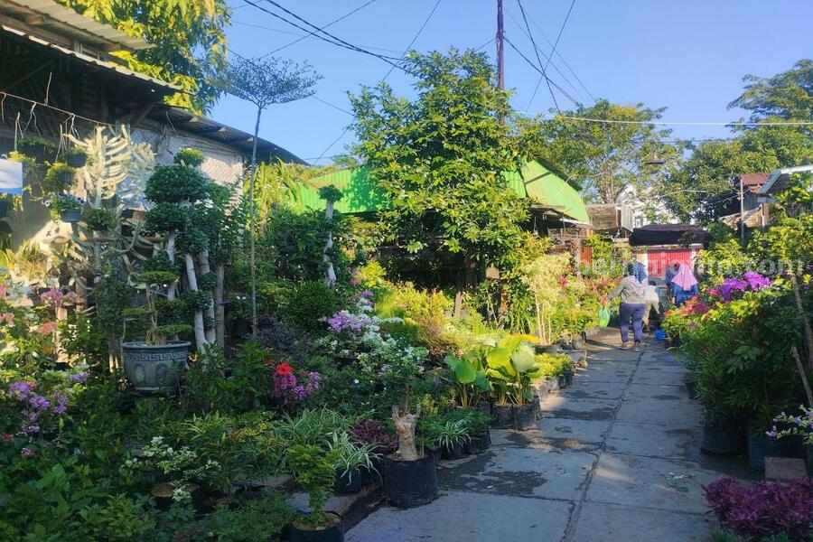 Pasar Bunga Bratang Terkini: Tak Hanya Tempat Jual Beli Tapi Ruang Interaksi