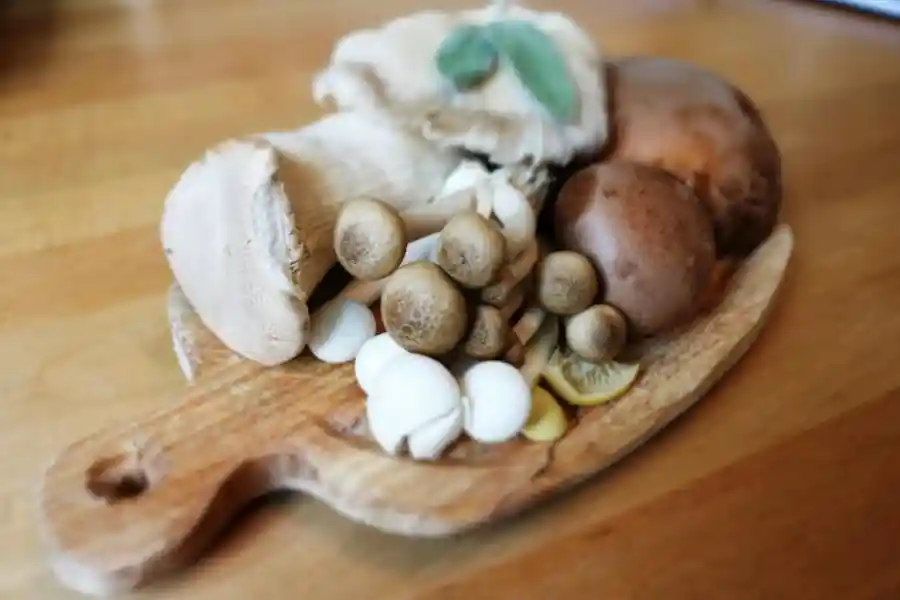 7 Macam Jamur yang Bisa Dikonsumsi, Cocok Dimasak Apa? Jenis-jenis jamur yang bisa dikonsumsi. (Pexels/Paula)