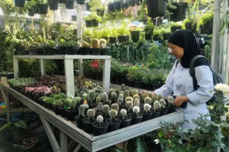 foto beritajatim