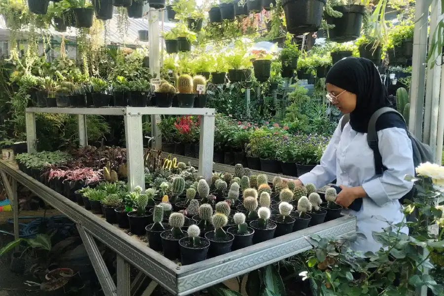 foto beritajatim