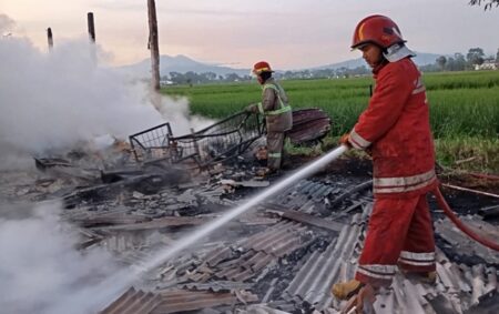 Kandang Ayam di Jombang Ludes Terbakar foto beritajatim