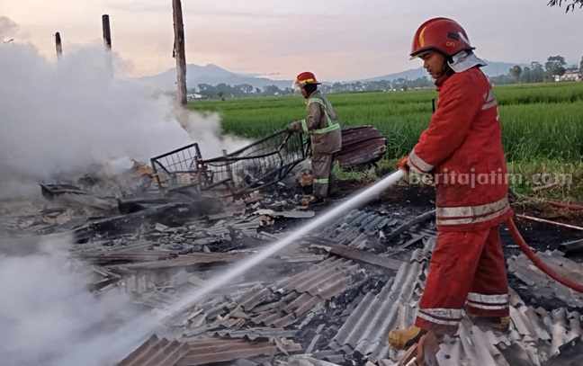 foto beritajatim