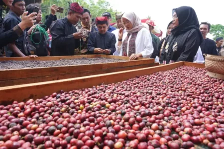 Kopi Robusta Banyuwangi Masuk Meja Sidang Kemenkum HAM foto berita jatim