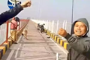 Banyak Pemancing Nangkring di Atas Jembatan Suramadu, Polisi Bakal Tertibkan Tangkapan layar video viral memancing di atas jembatan Suramadu. (Instagram @sim.sekilas.info.mancing)