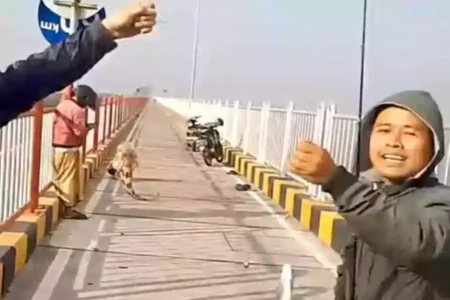 Banyak Pemancing Nangkring di Atas Jembatan Suramadu, Polisi Bakal Tertibkan Tangkapan layar video viral memancing di atas jembatan Suramadu. (Instagram @sim.sekilas.info.mancing)