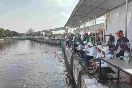 Ghava Cerme, Spot Mancing Mania di Gresik foto beritajatim