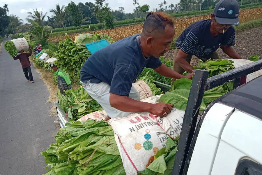 foto berita jatim