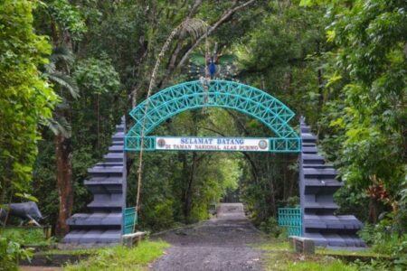 Mengulik Kekuatan Magis Nan Eksotis Hutan Tertua di Pulau Jawa, Alas Purwo Banyuwangi Pintu masuk Alas Purwo Banyuwangi (pinterest)
