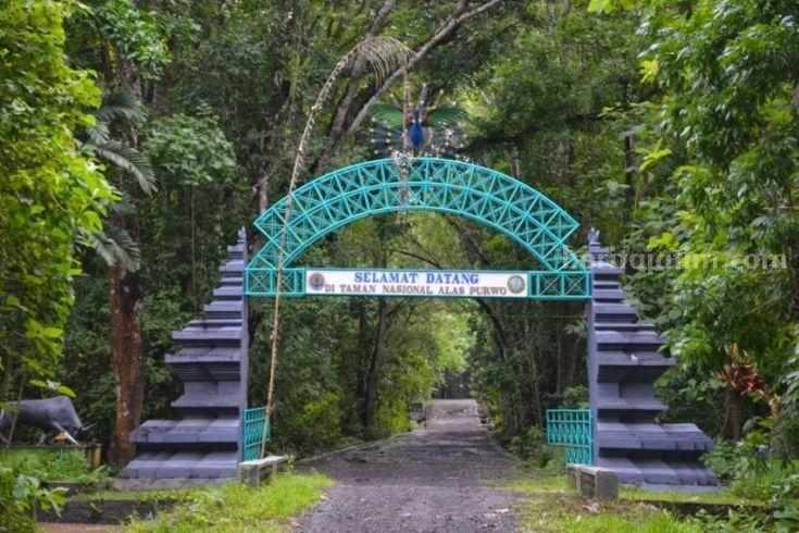 Pintu masuk Alas Purwo Banyuwangi (pinterest)
