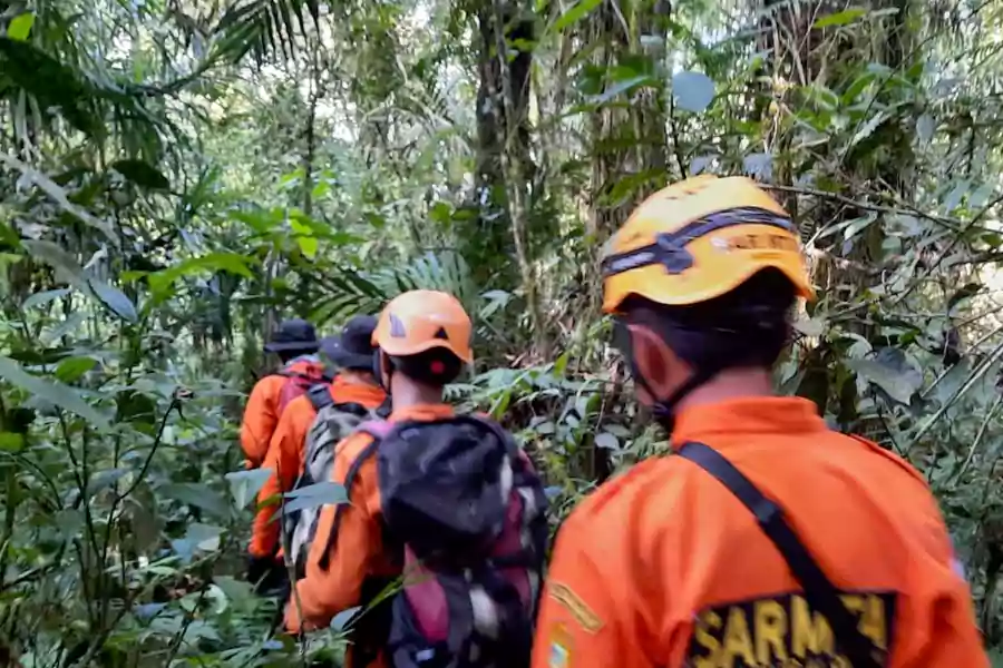 Tim SAR melakukan pencarian remaja hilang di hutan Lumajang.
