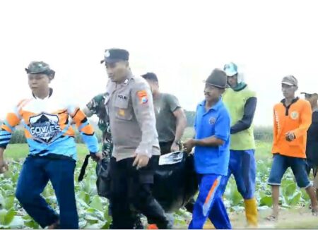 Proses evakuasi korban yang tercebur ke dalam sumur. [foto: Diah Ayu/beritajatim.com]