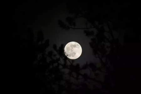 Ilustrasi Malam Satu Suro. (Grigoriy/pexels.com)