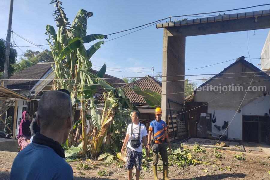 Angin kencang menumbangkan pohon di Bondowoso dan membuat kabel PJU terputus melintang jalan, Kamis (11/7/2024) sore. (Pusdalops BPBD Bondowoso)