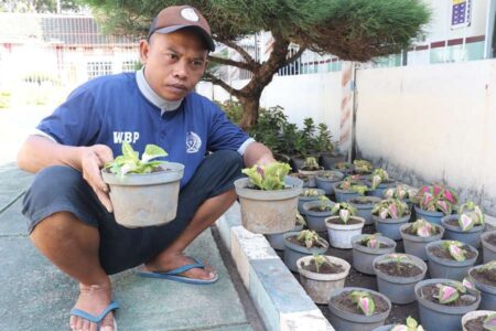 Rutan Kraksaan Sukseskan Program Budidaya Tanaman Hias, Bina Warga Binaan Jadi Petani Handal
