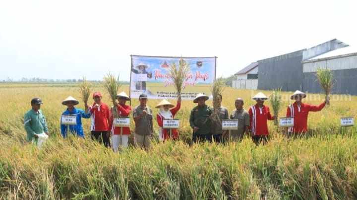 Bupati Mojokerto, Ikfina Fahmawati saat panen Raya Padi Semi Organik di Desa Betro, Kecamatan Kemlagi, Kabupaten Mojokerto. [Foto : ist]