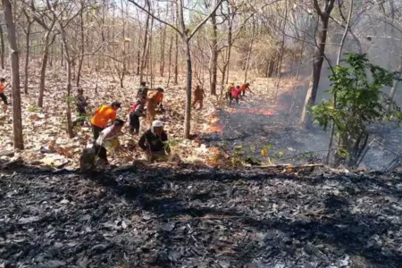 Sudah 70 Hektare Hutan Terbakar di Ponorogo foto berita jatim
