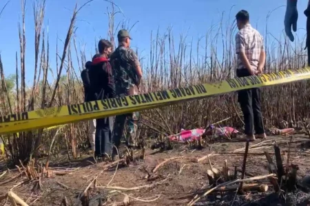 Kakek di Ponorogo Tewas Terbakar di Lahan Tebu