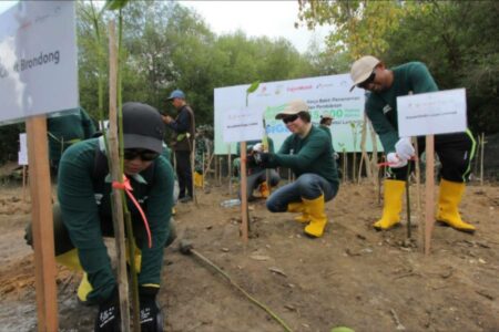 SKK Migas-EMCL Jaga Ekosistem Mangrove di Pesisir Pantai Lamongan Kerja bakti penanaman dan pembibitan 35 ribu pohon mangrove di pesisir Pantai Lamongan.