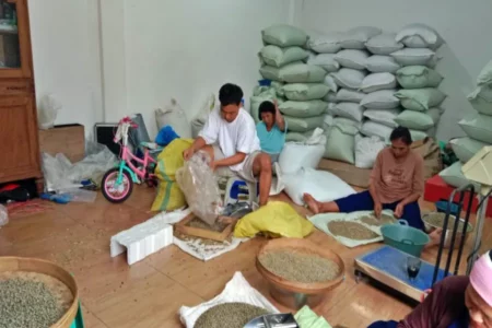 Distributor Kopi Bondowoso Garap Pasar Domestik hingga Ekspor 16 Negara, Catat Omzet Rp 6 Miliar Kopi Bondowoso