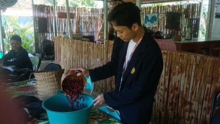 Mahasiswa Universitas Jember Memproduksi Teh dari Limbah Kopi di Timor Leste