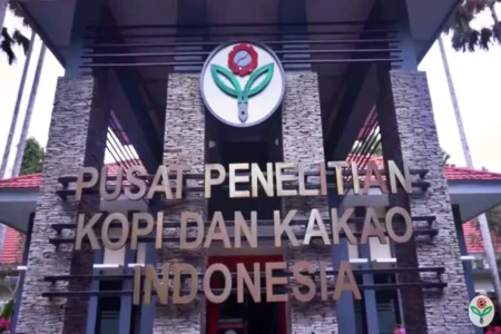 Puslit Koka