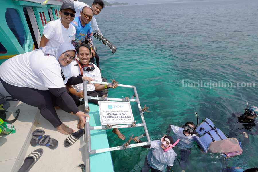 Seremonial Penanaman 632 bibit terumbu karang di Pulau Pahawang.