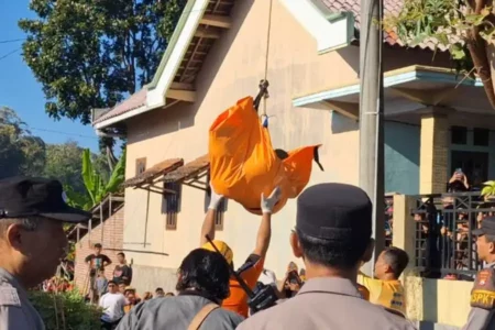 foto beritajatim