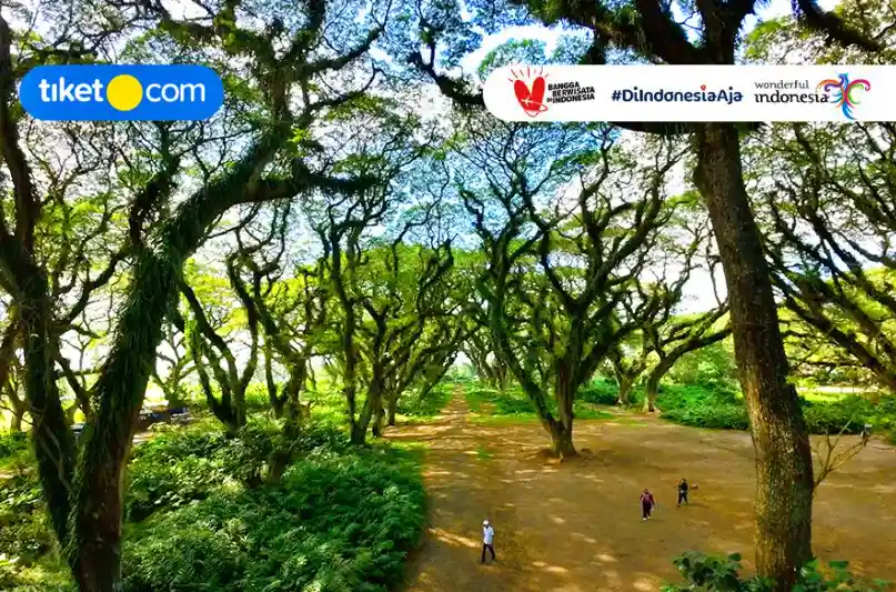Wisata Banyuwangi