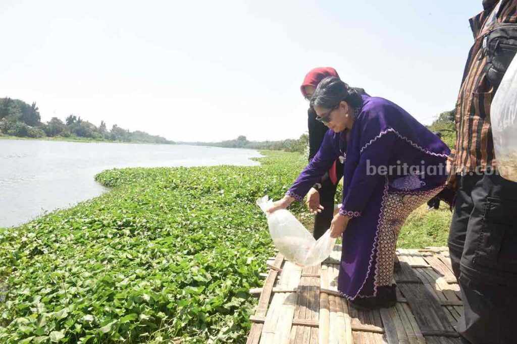 foto berita