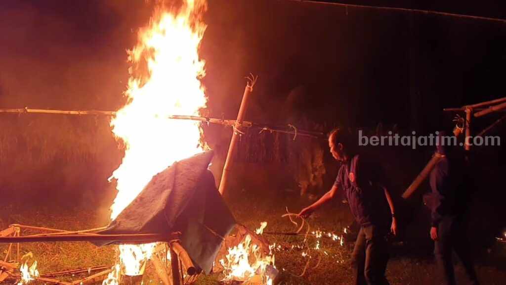 Polres Malang musnahkan arena sabung ayam di Kepanjen Malang