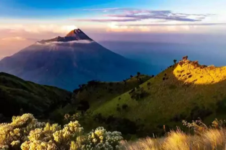 Ilustrasi bukit di Malang dan Batu. (Kanenori/pexels.com)