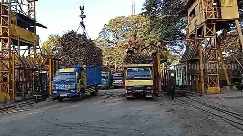 Hari Giling ke-74, Produksi PG Ngadiredjo Kediri Capai 32.684 Ton Gula