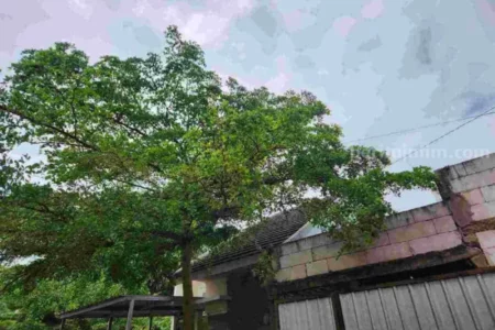 Cuaca Malang Hari Ini Kamis 1 Agustus 2024 foto berita jatim