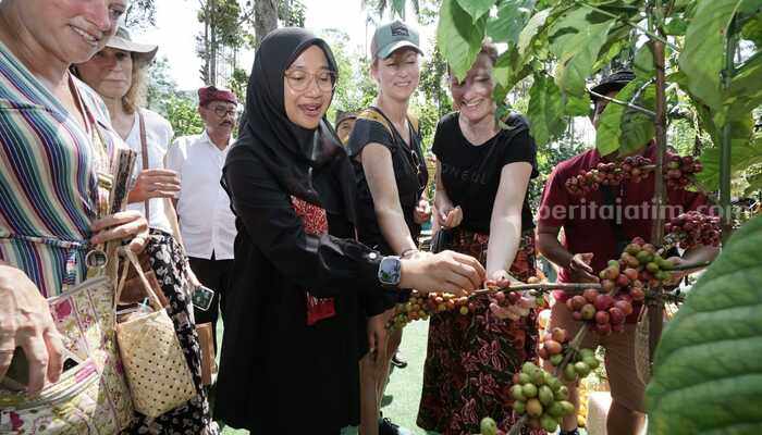 Inilah Identitas dan Brand Kopi Banyuwangi