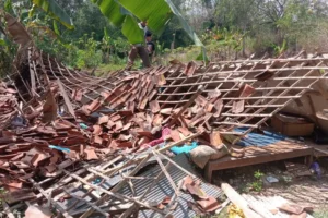 Rumah Nenek Sebatang Kara di Sampang Roboh, Diduga Lapuk foto berita jatim