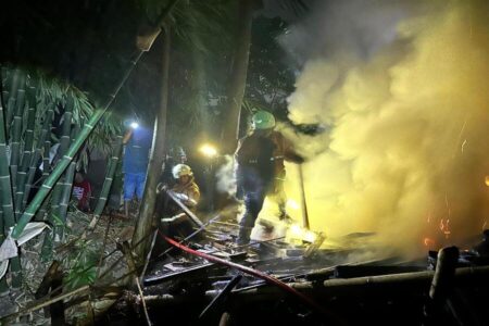 Listrik Konslet, 2 Ekor Sapi di Bondowoso Terbakar Hidup Hidup di Dalam Kandang,