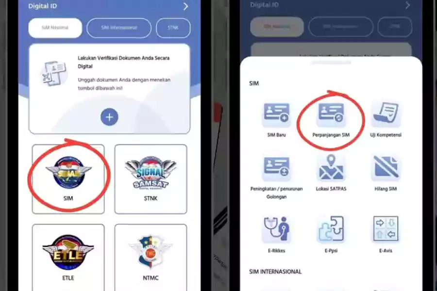 Tampilan aplikasi Digital Korlantas Polri untuk perpanjangan SIM secara online.