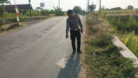 Jadi Koban Tabrak Lari, Pengendara Motor Pelat Merah di Jombang Terkapar foto beritajatim