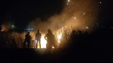 Lahan Tebu di Jombang Terbakar, Nyaris Sambar Kabel Listrik Tegangan Tinggi foto beritajatim