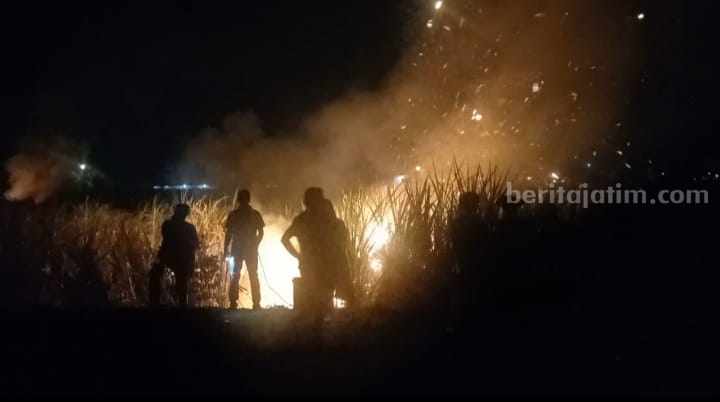 foto beritajatim