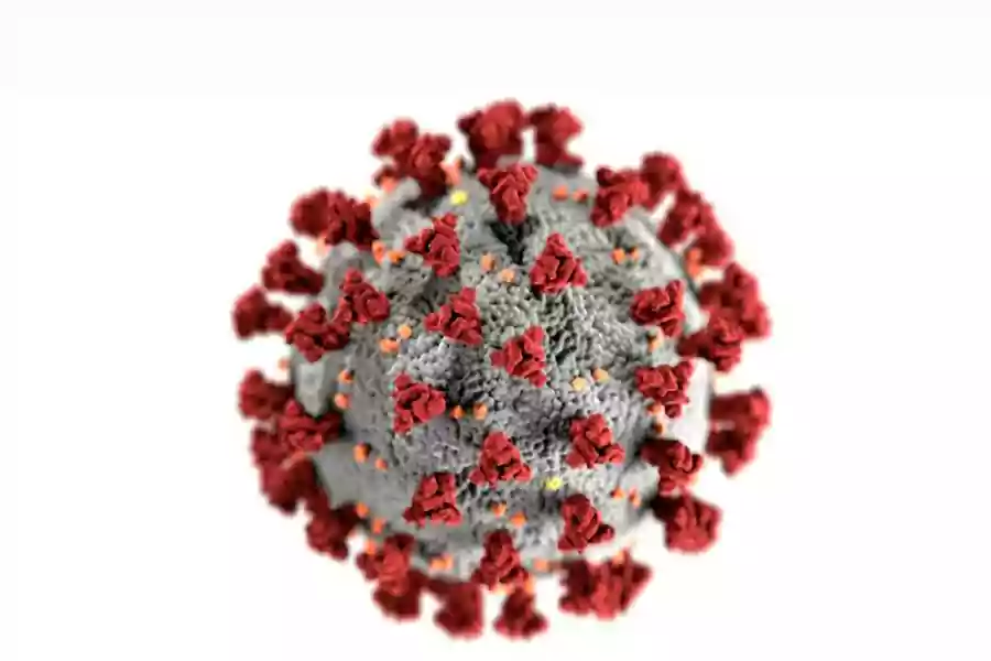 Ilustrasi virus. (Pexels/CDC)