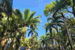 Cuaca Malang dan Kota Batu Hari Ini: Cerah Berawan Cuaca Malang hari ini (Foto: Dani Alifian/beritajatim.com)