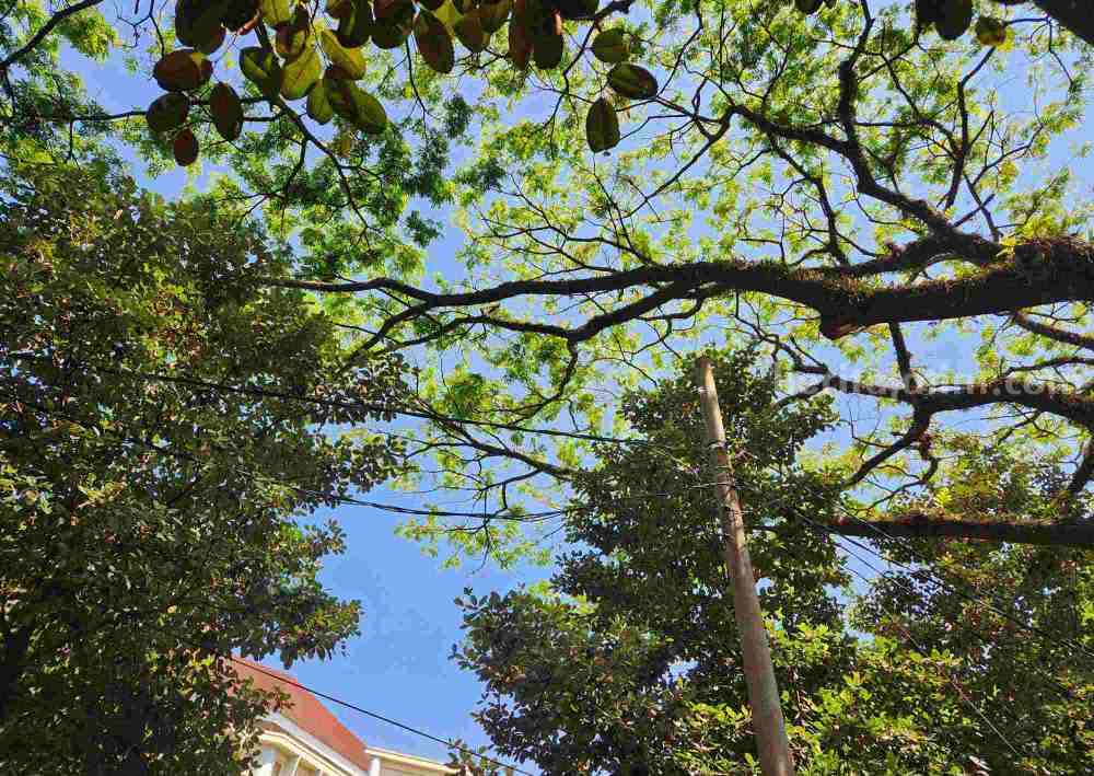 Cuaca Malang hari ini (Foto: Dani Alifian/beritajatim.com)