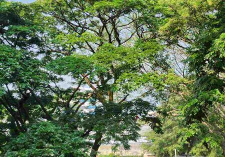 Cuaca Malang hari ini (Foto: Dani Alifian/beritajatim.com)