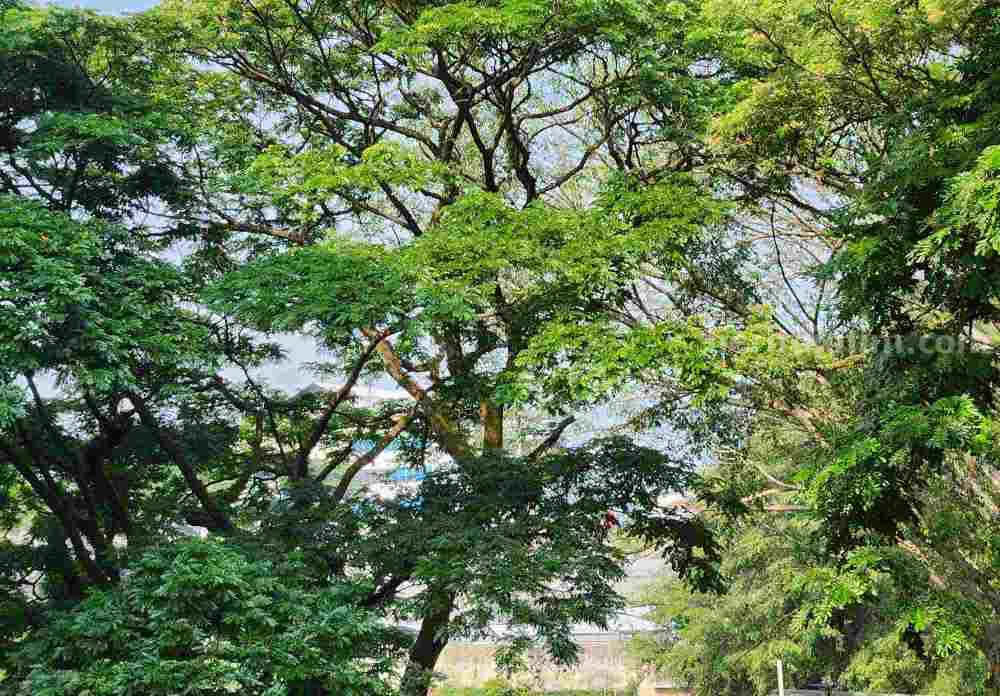 Cuaca Malang hari ini (Foto: Dani Alifian/beritajatim.com)