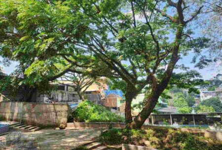 Cuaca Malang Hari Ini Rabu 16 Oktober 2024: Cerah Berawan Cuaca malang hari ini (Foto: Dani Alifian)
