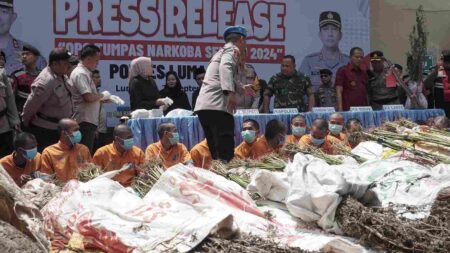 Polisi Lumajang Buru Bos Narkoba di Balik Ladang Ganja Raksasa