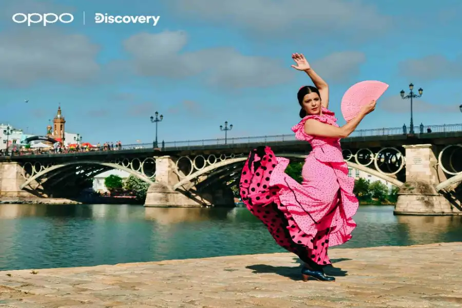 Flamenco Spanyol