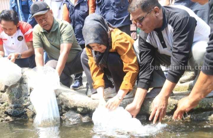 foto beritajatim